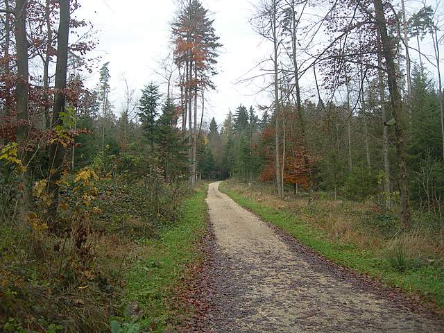 Prima  dell�era  glaciale